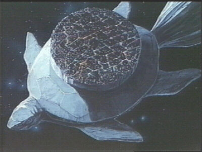 turtle.gif (93957 bytes)